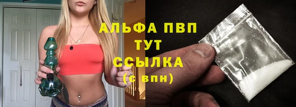 дживик Белокуриха