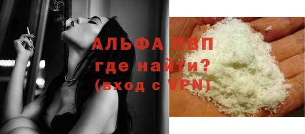 дживик Белокуриха