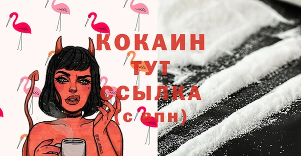 дживик Белокуриха