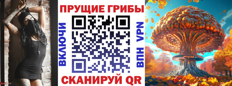 даркнет какой сайт  Вытегра  Псилоцибиновые грибы Psilocybe  цены наркотик 